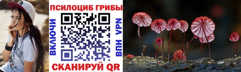 Купить закладки Суровикино Галлюциногенные грибы мицелий